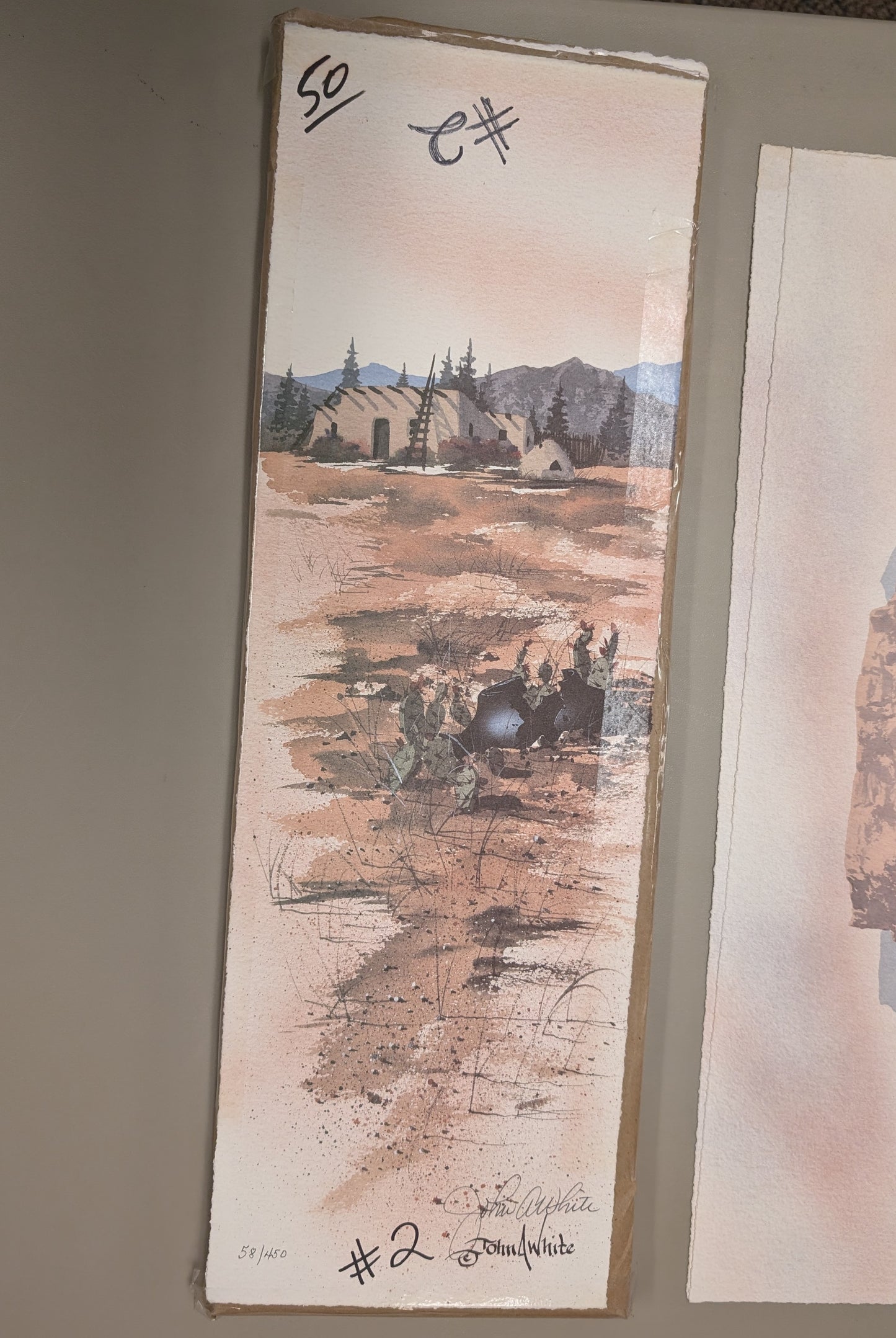 Broken Pottery & Desert Pueblo - John A. White