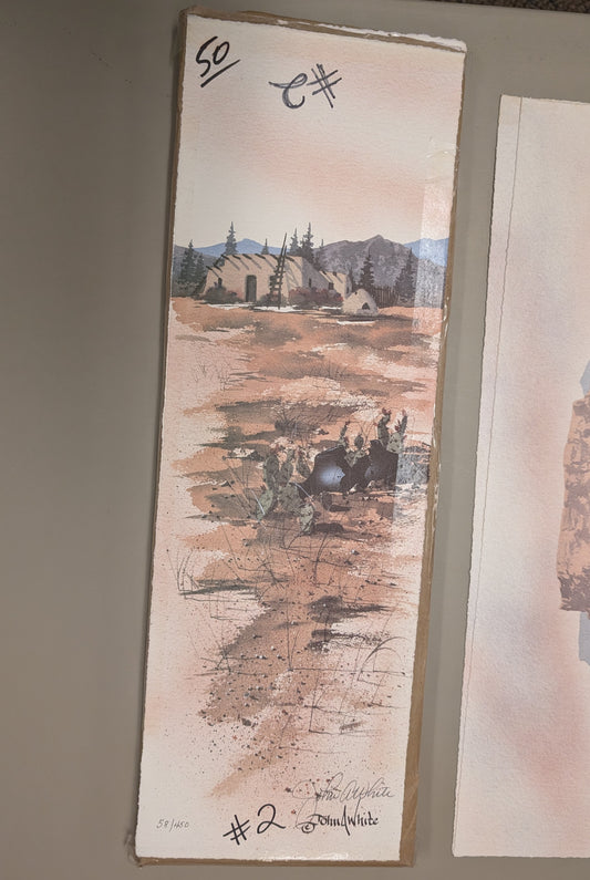 Broken Pottery & Desert Pueblo - John A. White