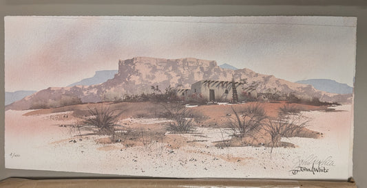 Desert Pueblo - John A. White