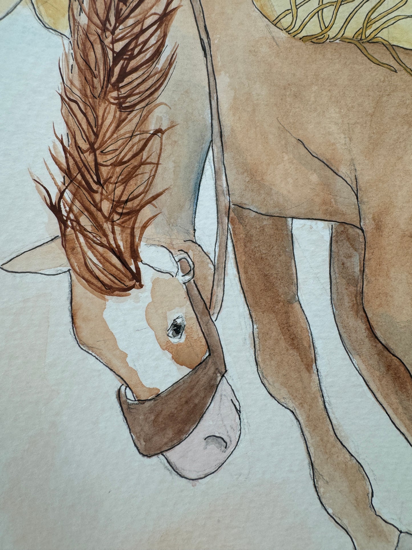 Saddle Bronc