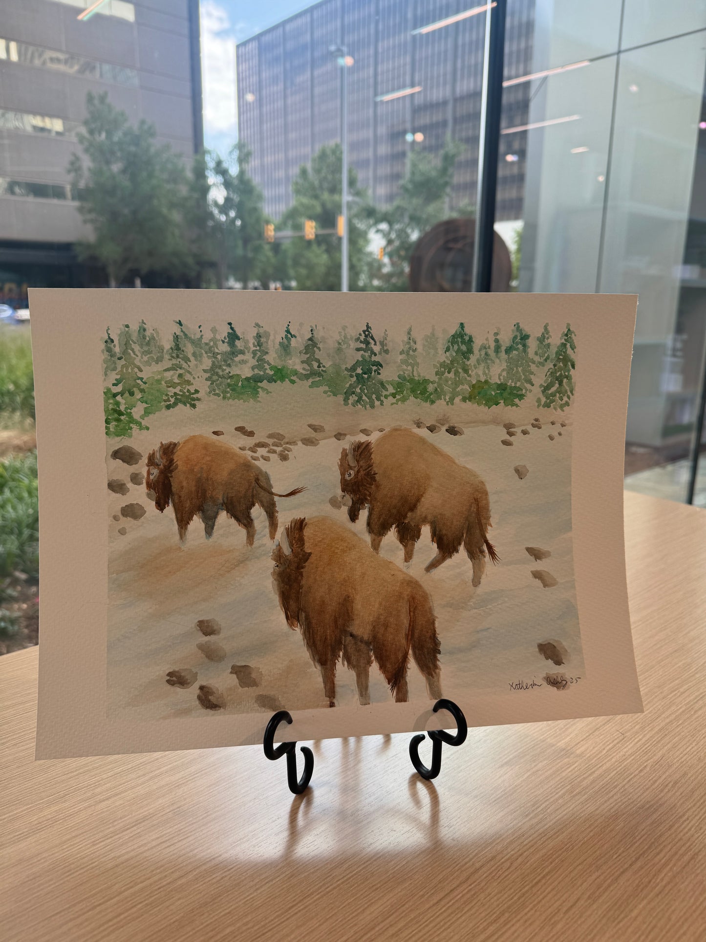 Buffalo Crossing