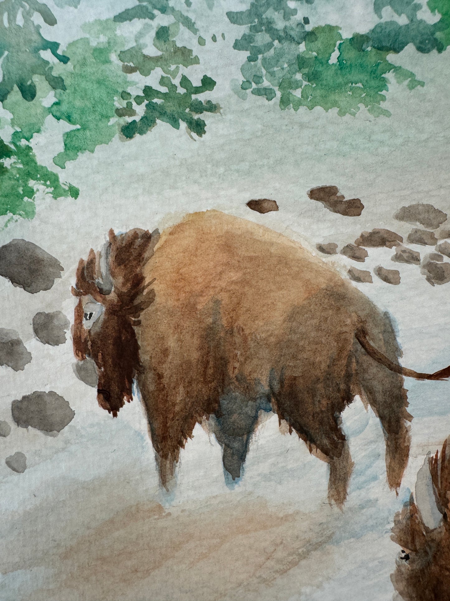 Buffalo Crossing