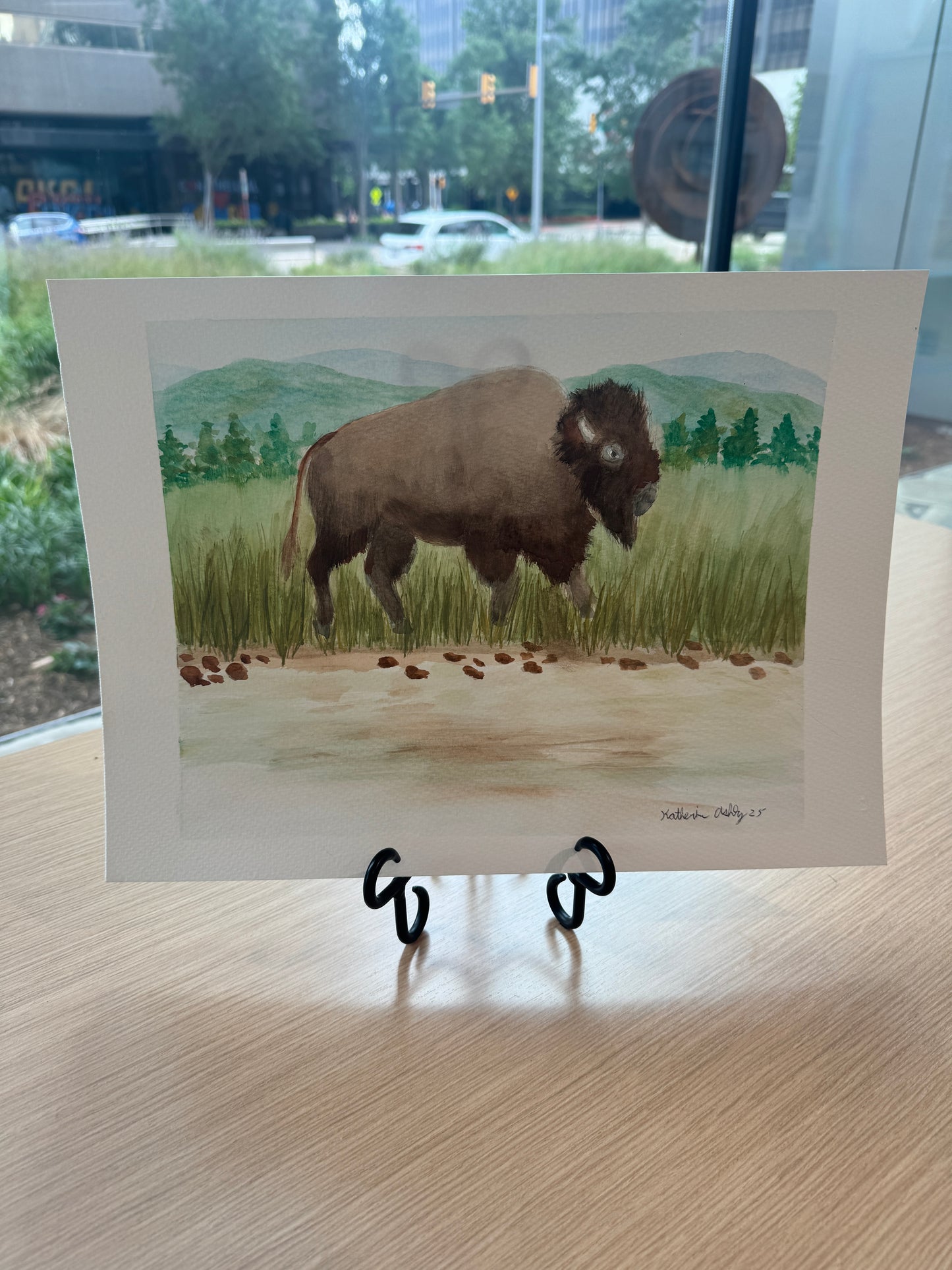 One Buffalo