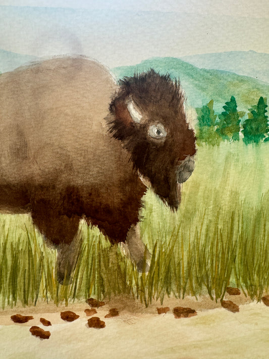 One Buffalo