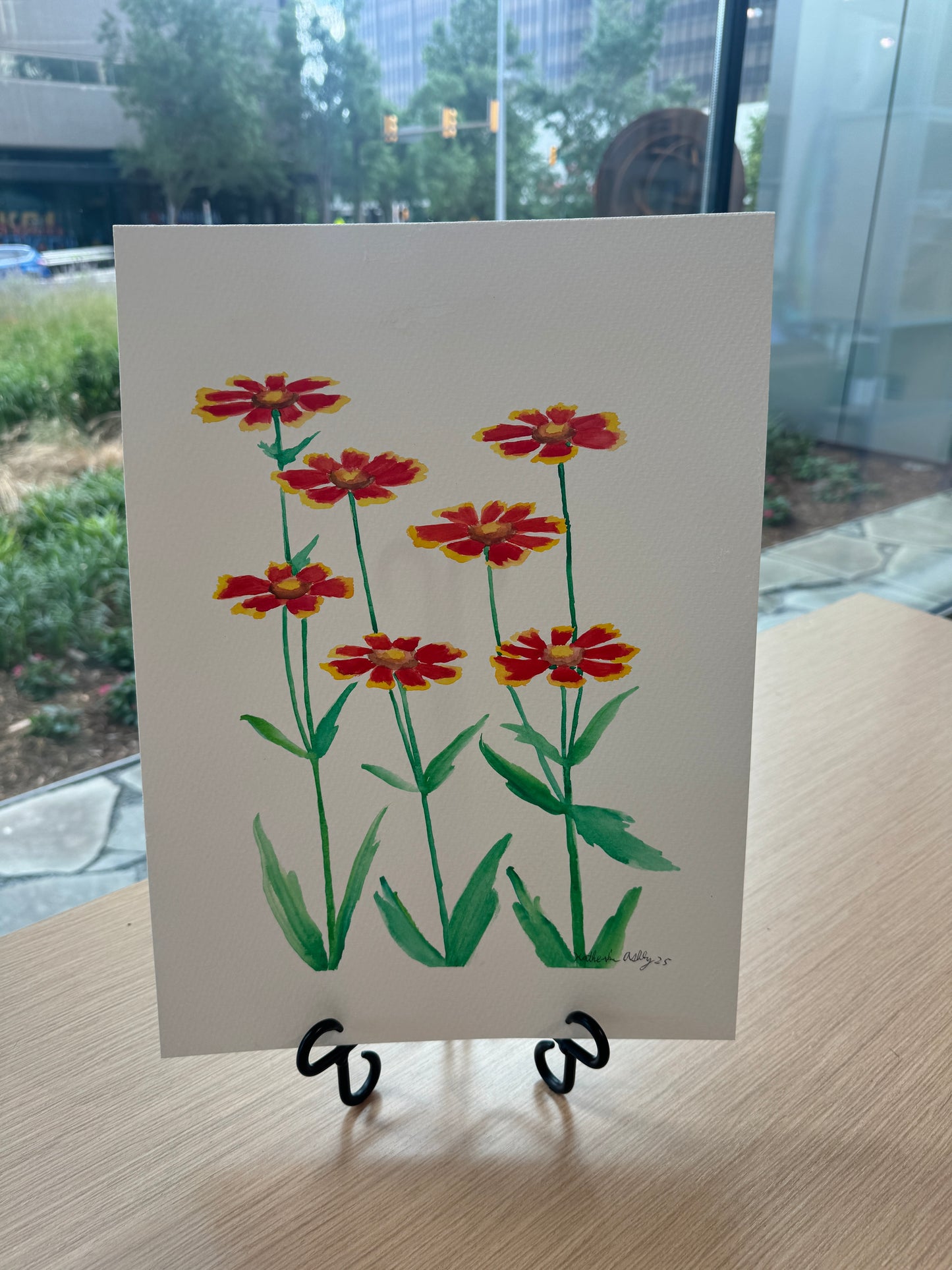 Blanket Flowers