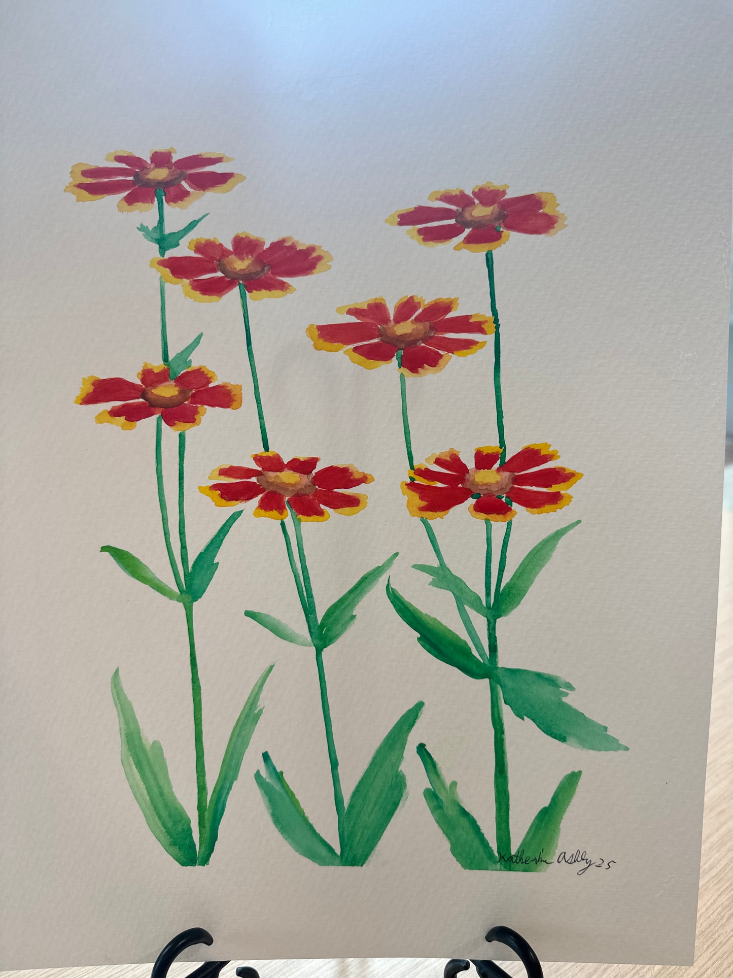Blanket Flowers