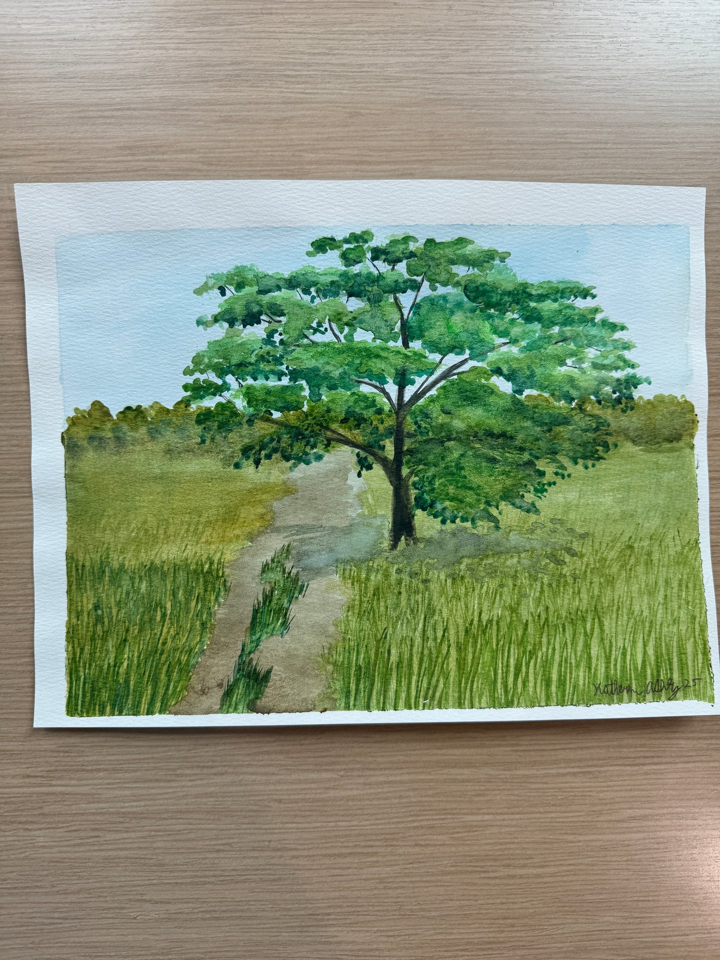 One Tree