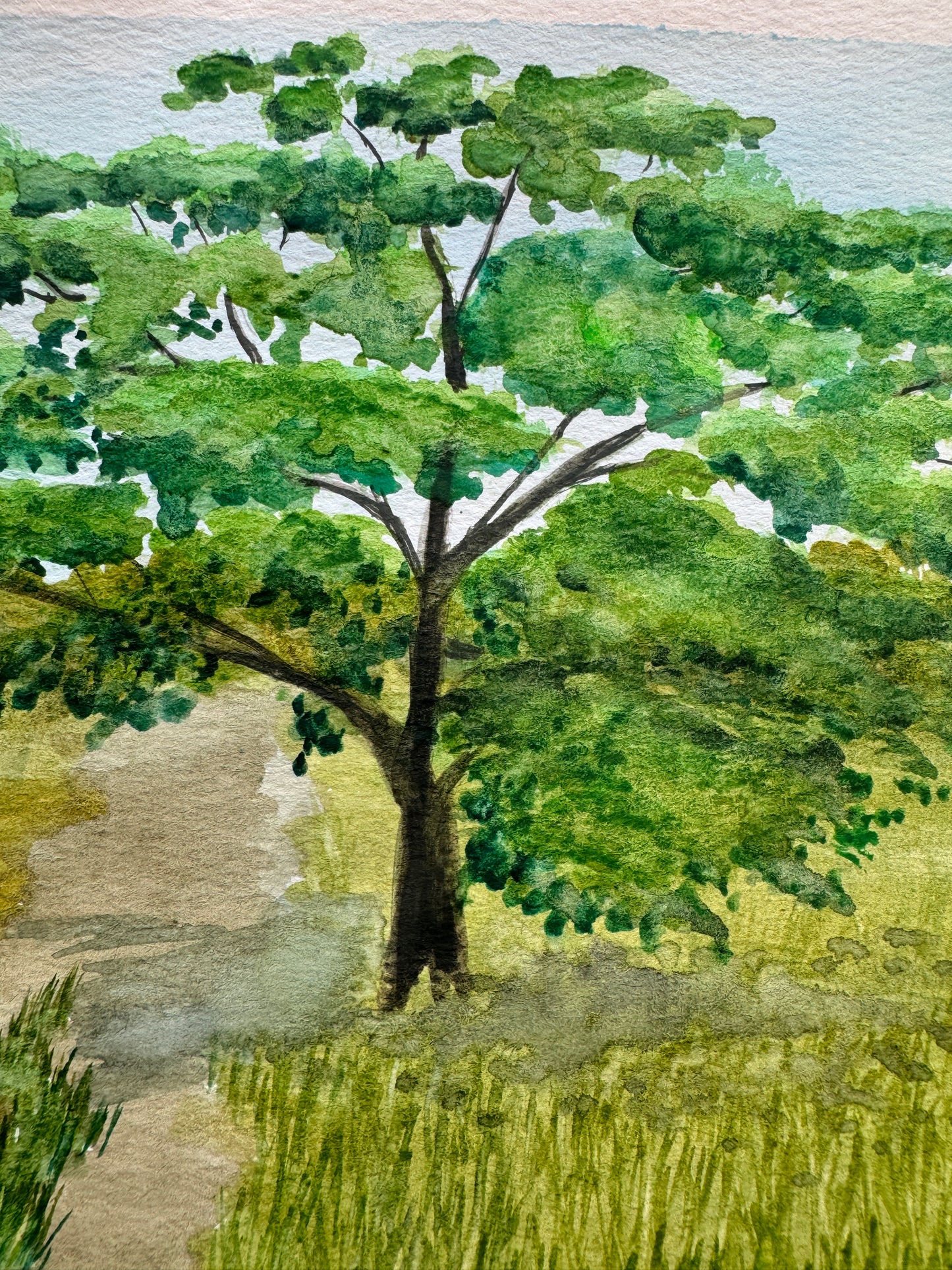 One Tree