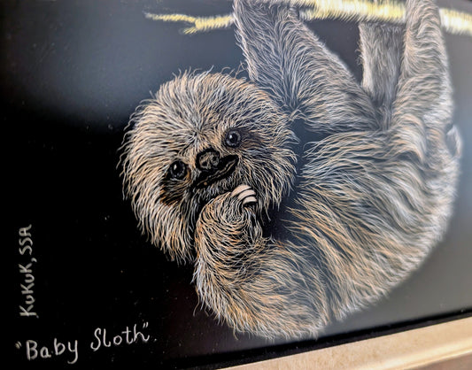 Baby Sloth