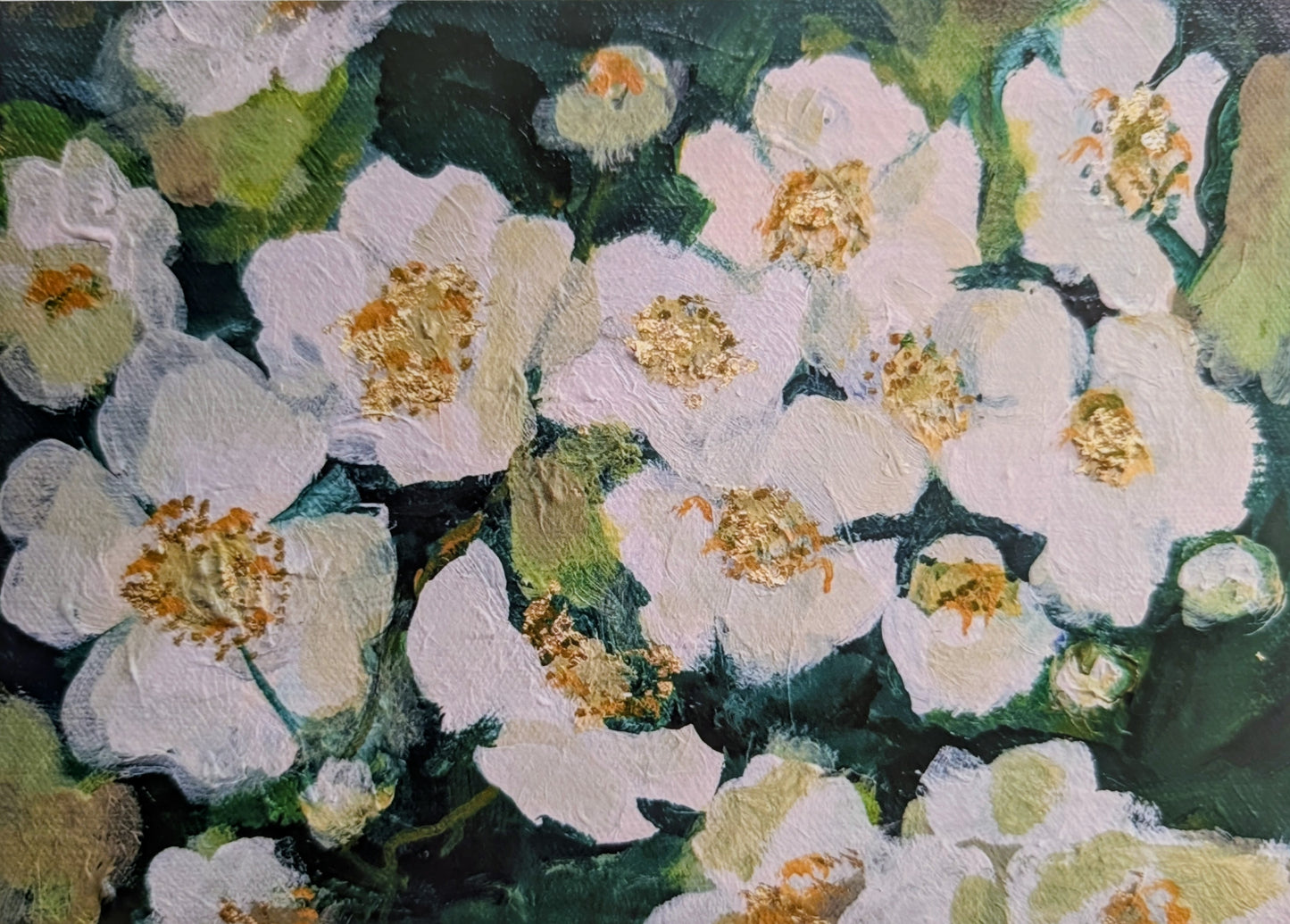 Cherokee Roses