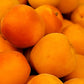 Apricot Jam (Store Pick Up Only)