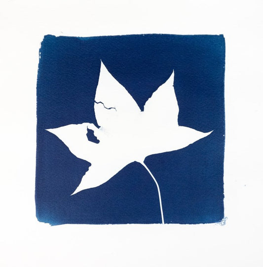 Giclée Print - Landscape of Trauma