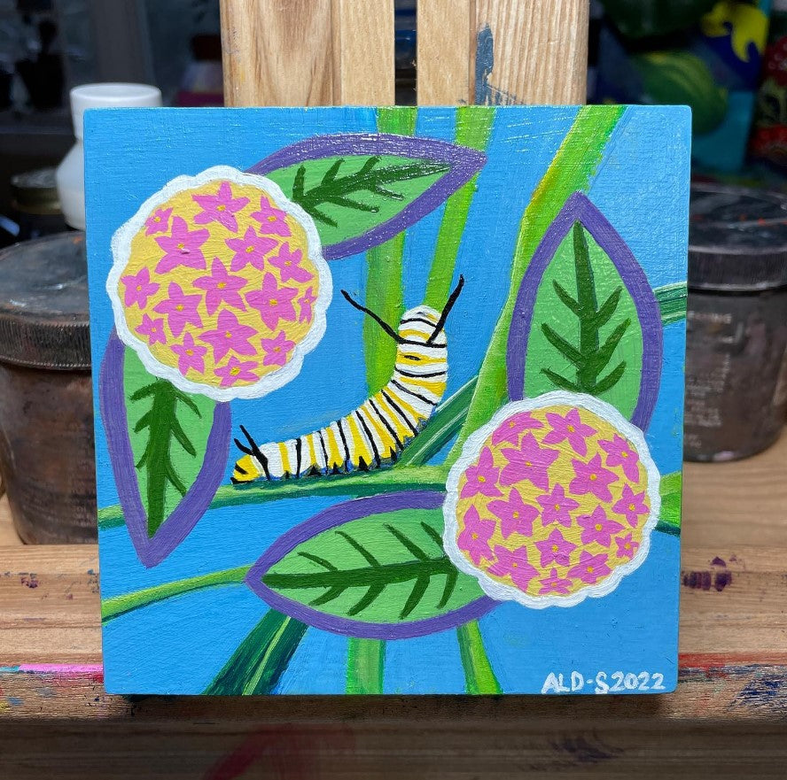 Monarch Caterpillar
