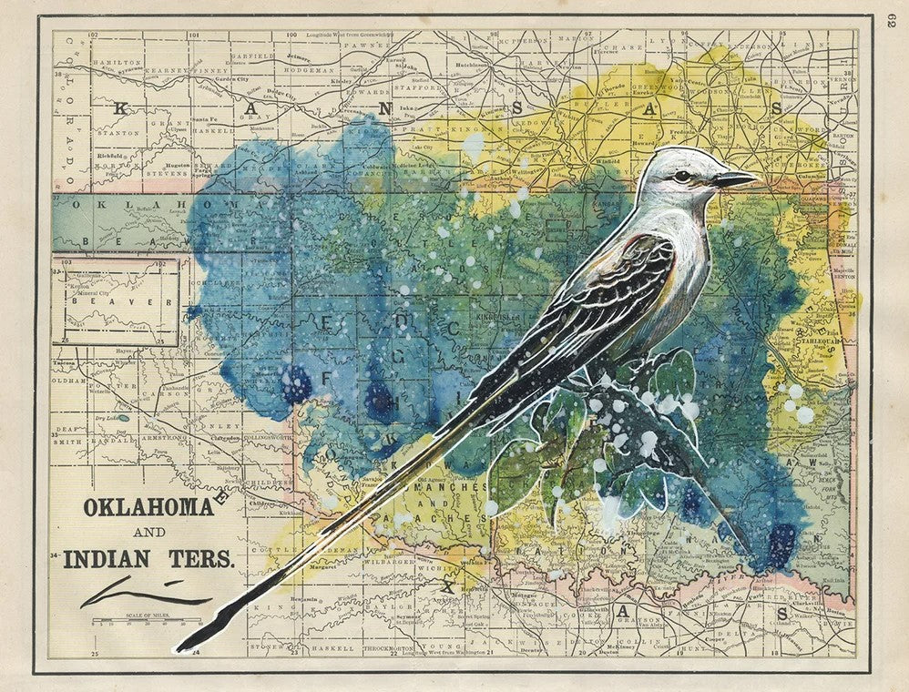 O.K. and I.T. Scissortail Print