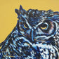Ishkitini - Great Horned Owl Print