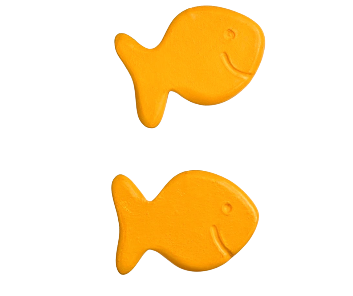 Ceramic Goldfish Magnets