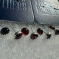 Garnet Stone Earrings