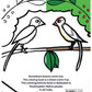 Nan Inchuwa Coloring Book