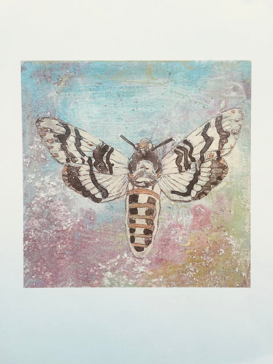 Moth