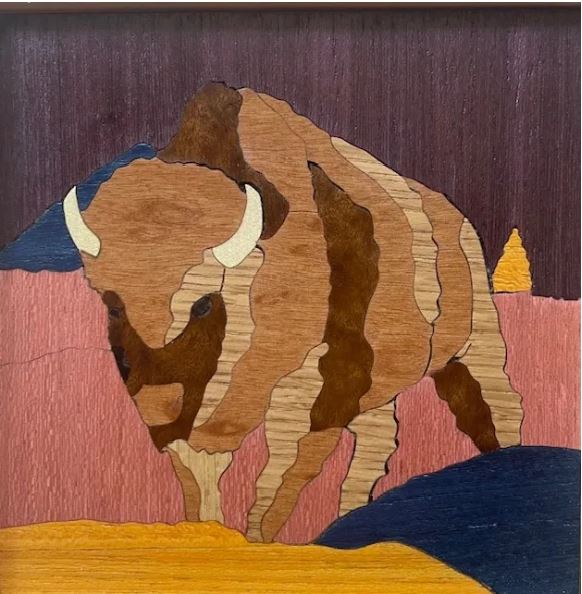 Buffalo Magnet