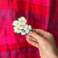 Cherokee Roses Sticker