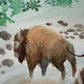 Buffalo Crossing