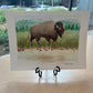 One Buffalo