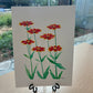 Blanket Flowers