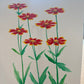 Blanket Flowers