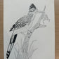 Road Runner