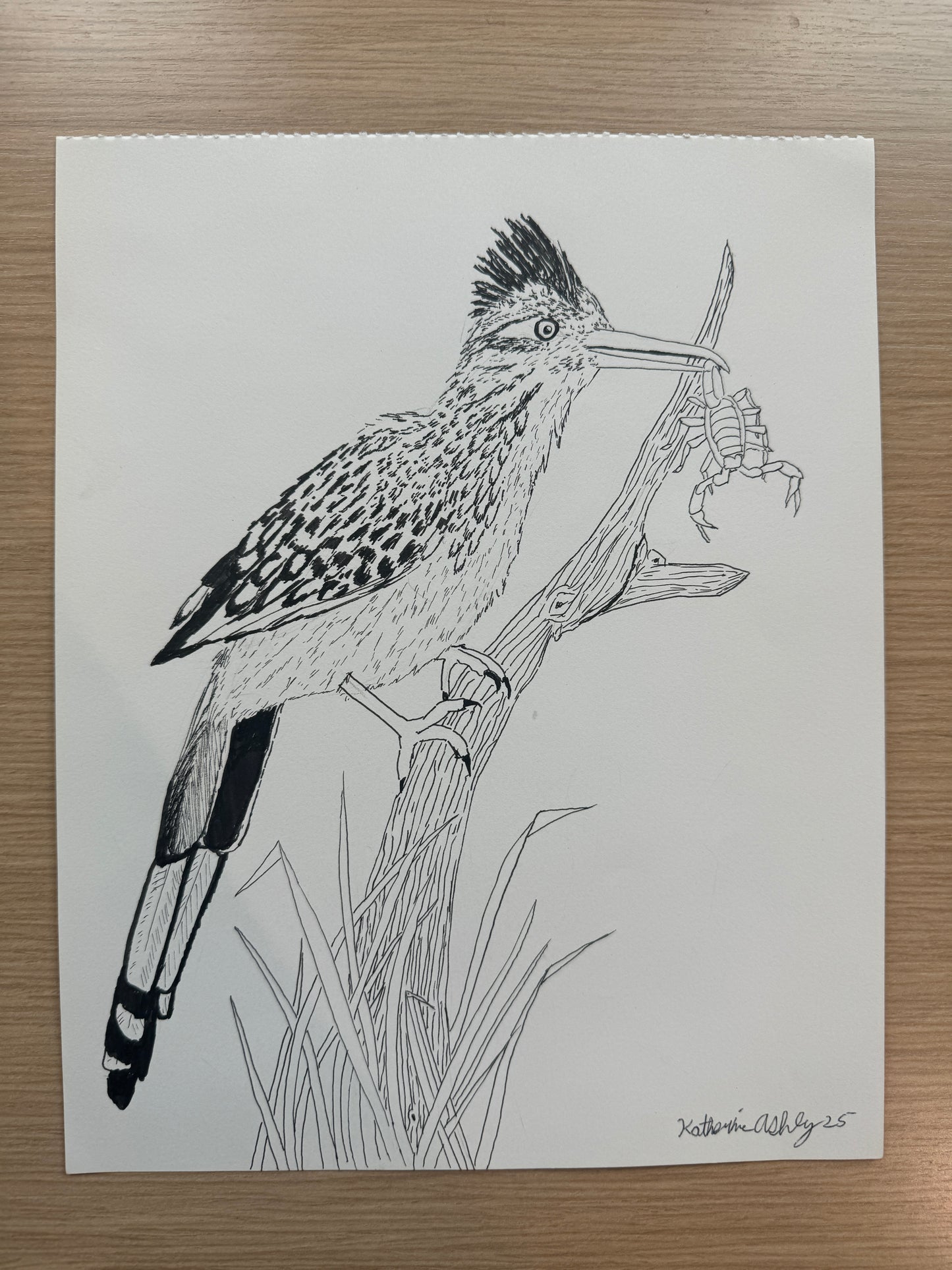 Road Runner