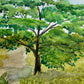 One Tree