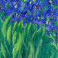 Iris Garden