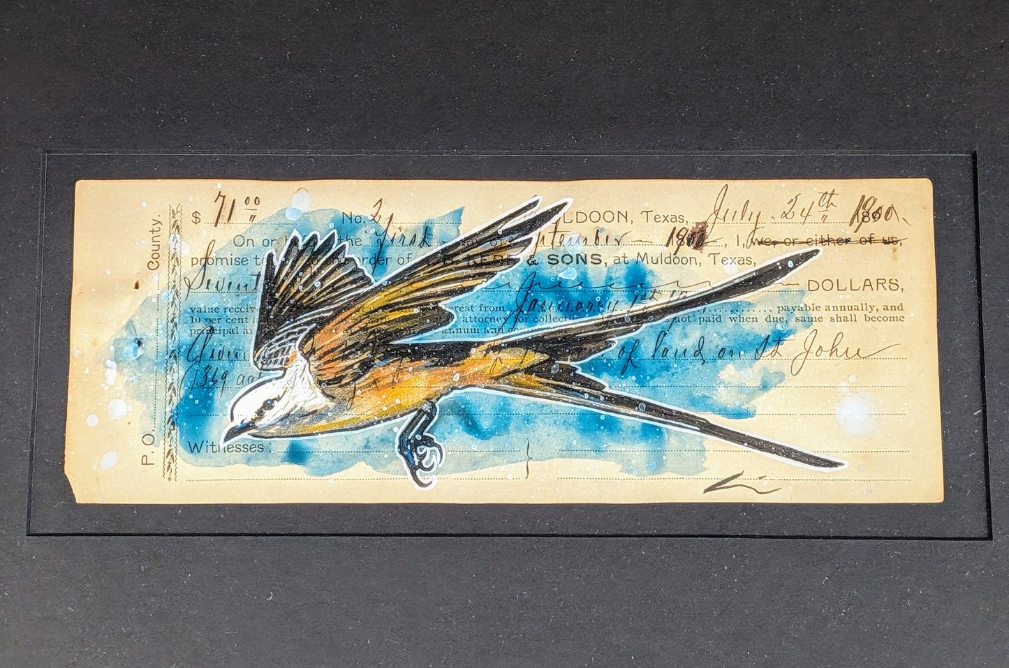 Scissortail 1902 Framed Ledger Art