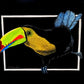 Toucan