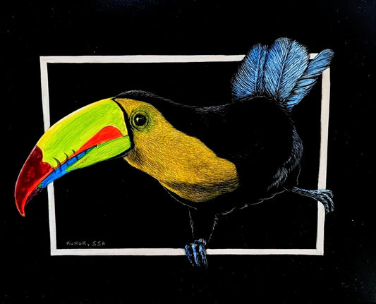Toucan