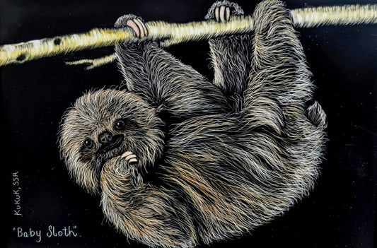 Baby Sloth
