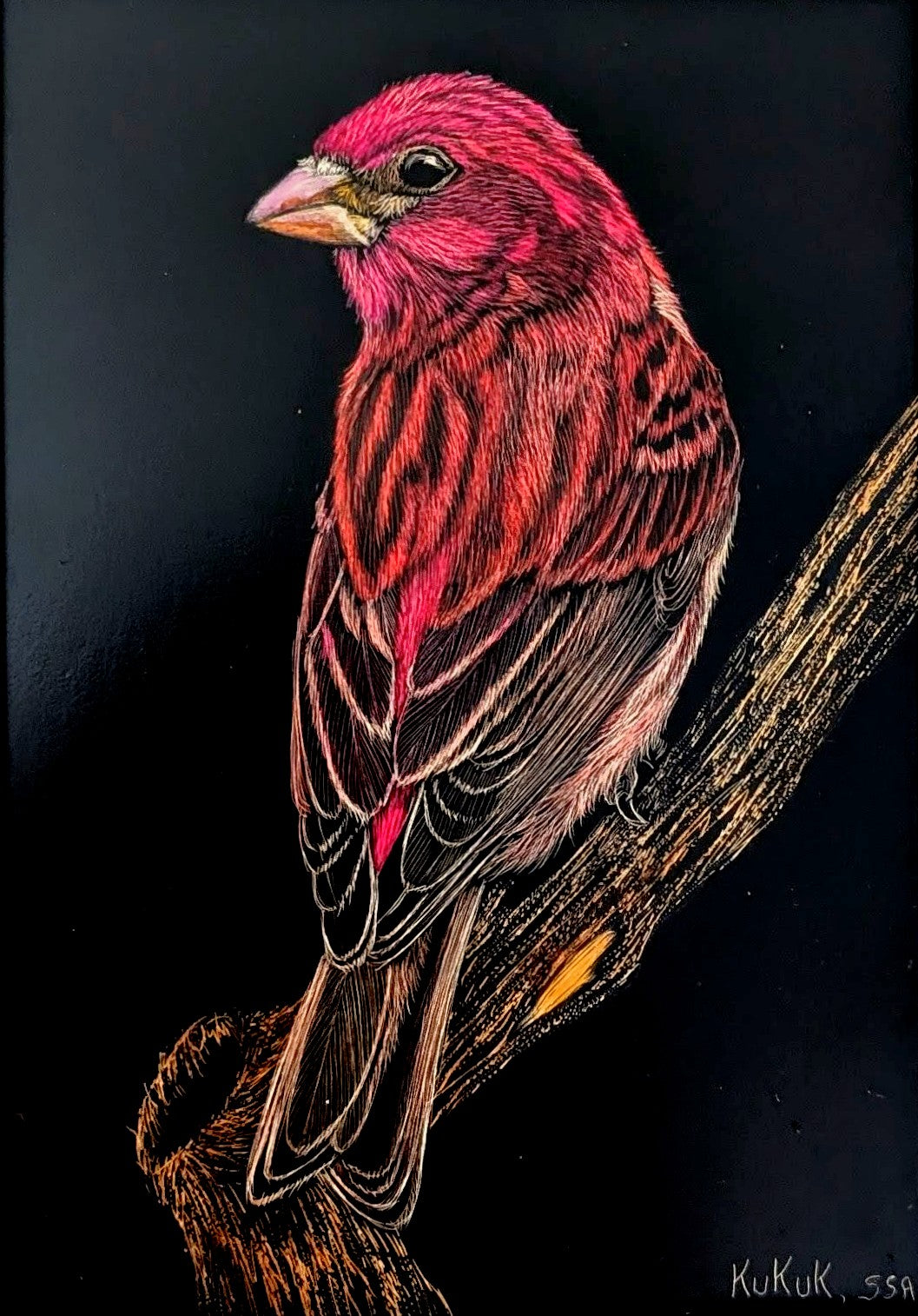 画材 Okinawan Red Earth Fine Original Art – Red Earth