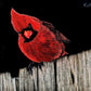 Cardinal on Fence