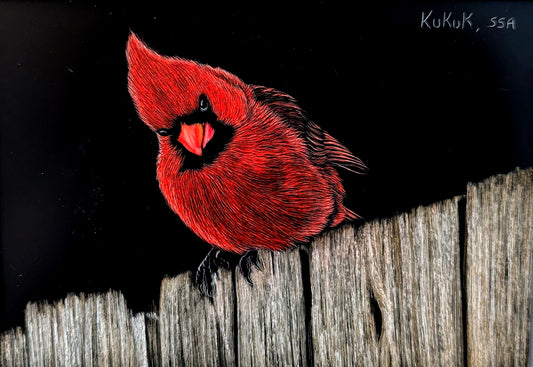 Cardinal on Fence