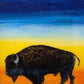 Buffalo Sunset