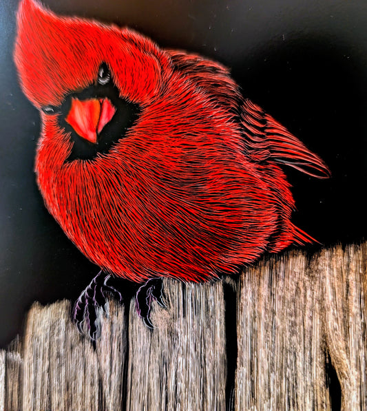 Cardinal on Fence