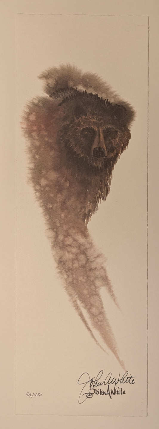 Bear - John A. White