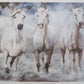 Herd of Horses