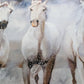 Herd of Horses