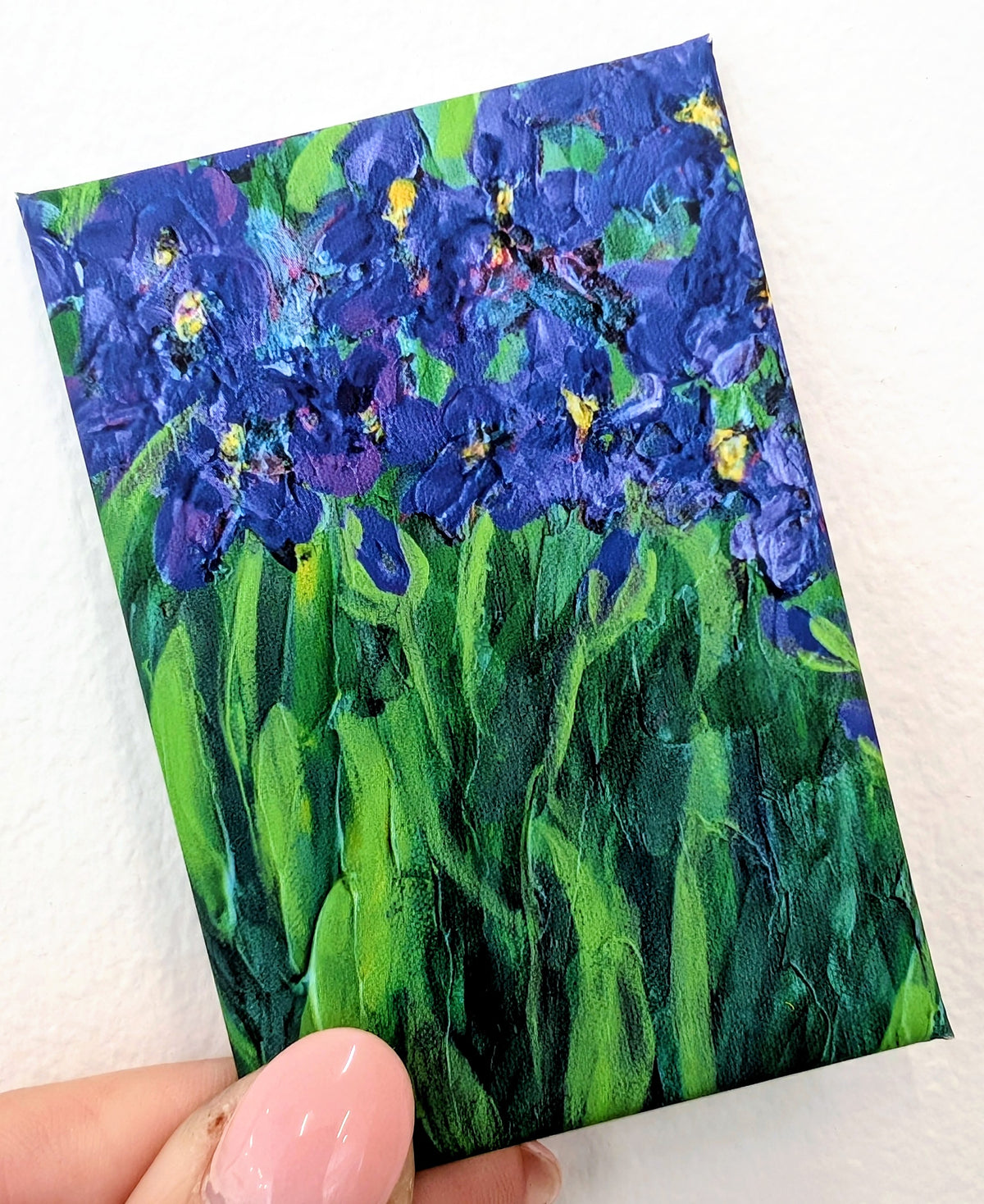 Iris Magnet