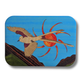 Scissortail Magnet
