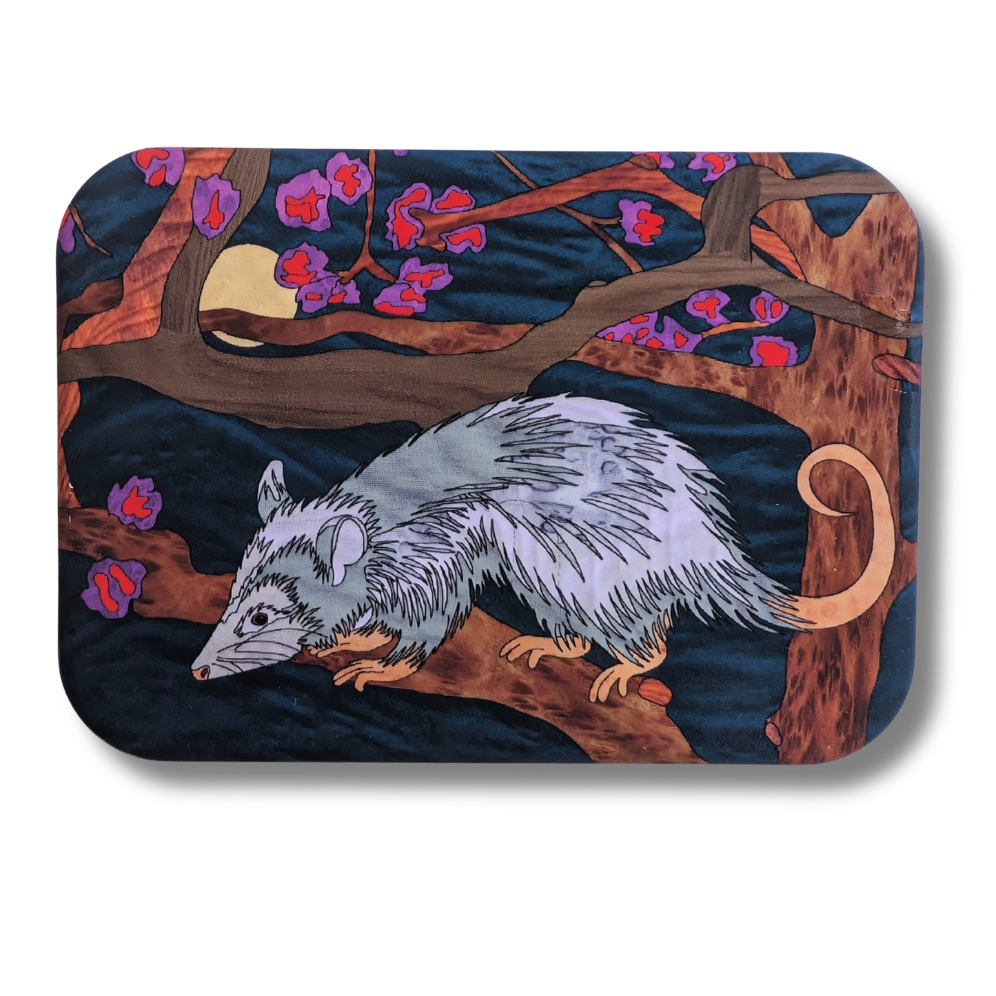 Opossum Magnet