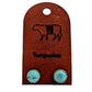 Turquoise Stone Earrings