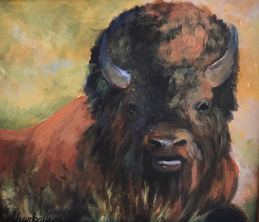 "Bison in Mid-Afternoon" Print
